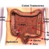 Logo Guillermo-Barona:Al colon se le llama segundo cerebro