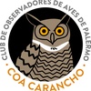 Logo Entrevista en "Arriba Los Sábados" Radio Buenos Aires, Observar Aves en la Ciudad