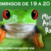 Logo Mirada Animal - Programa emitido el Domingo 12/3