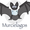 Logo Desde Madrid Martín Demonte, DT de los Murciélagos