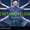 Logo Flayeros: Bio de Caetano Veloso 