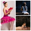 Logo Libros y Ballet