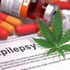 Logo Cannabis medicinal, epilepsia y comunicación 