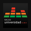 Logo Entrevista sobre TIBIO en Radio Universidad FM 89.1