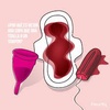 Logo Sol Sorbello ¿Qué es la Gestión Menstrual? Copita vs. Toallita.