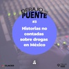 Logo Historias no contadas sobre drogas en México | Debajo del Puente #3
