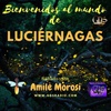 Logo de la episodio