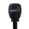Logo de la episodio