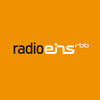 Logo RBB Radio Eins