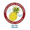 Logo Culturral Buenos Aires