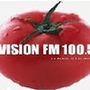 Logo Visión FM 100.5