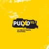 Logo Pulxo 95.1