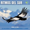 Logo RDS| Ritmos Del Sur por Radioa