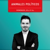 Logo Saúl Feldman en Animales Políticos con Maxi Legnani
