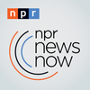 Logo NPR News Now