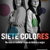 Logo Federico Thea en Siete Colores