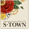 Logo S-Town