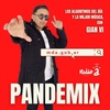 Logo Pandemix