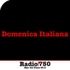 Logo Domenica Italiana