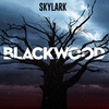 Logo Blackwood