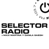 Logo Selector Radio