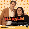 Logo NAPALM