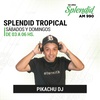 Logo Splendid Tropical Picachu DJ