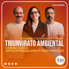 Logo Triunvirato Ambiental