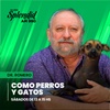 logo Como Perros y Gatos | Dr Romero | Programa Completo | 09/09/23