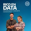Logo RICO EN DATA