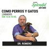 Logo Como Perros y Gatos | Dr Romero | 02/09