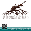Logo La Hormiga y Sus Raíces