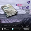 Logo 74 dias