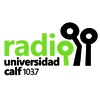 Logo Entrevista Radio UNCo CALF