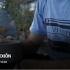 Logo Conexión 