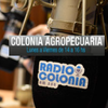 Logo Florencia Miccoli - Entrevista con radio Colonia 