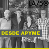 Logo Desde Apyme
