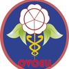 Logo Guía de Salud