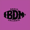 Logo IBDM RADIO GALERIA