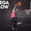 Logo Megaflow