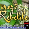 Logo Tereré Rebelde