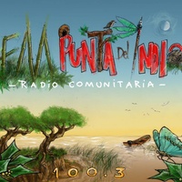 Logo Comunitaria Fm Punta del Indio 100.3