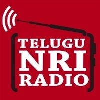 Logo Telugu NRI