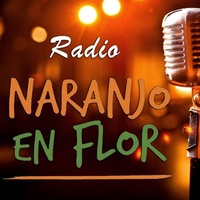 Logo RADIO NEF