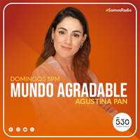 Logo Mundo agradable