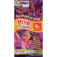 Logo Vive y Baila