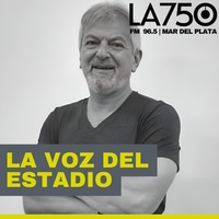 Logo La Voz del Estadio