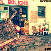 Logo El Bolicho