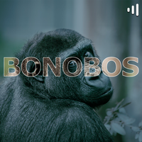 Logo Bonobos