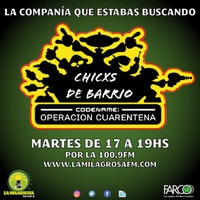 Logo Chicxs de Barrio